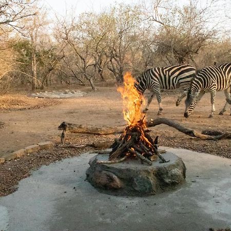 Hello Kruger Hideaway Cottage & Skilpad Studio Marloth Park Exteriör bild