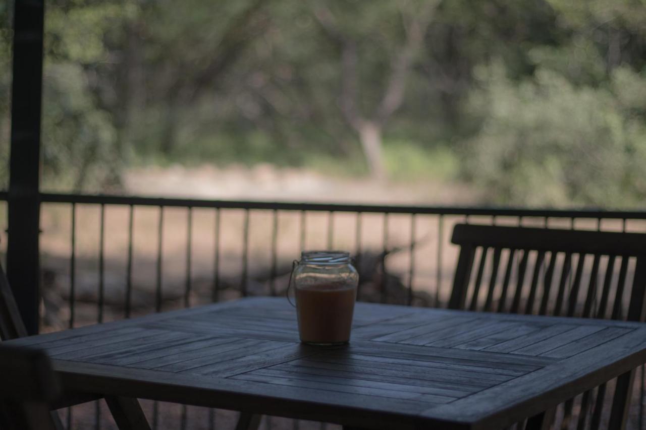 Hello Kruger Hideaway Cottage & Skilpad Studio Marloth Park Exteriör bild