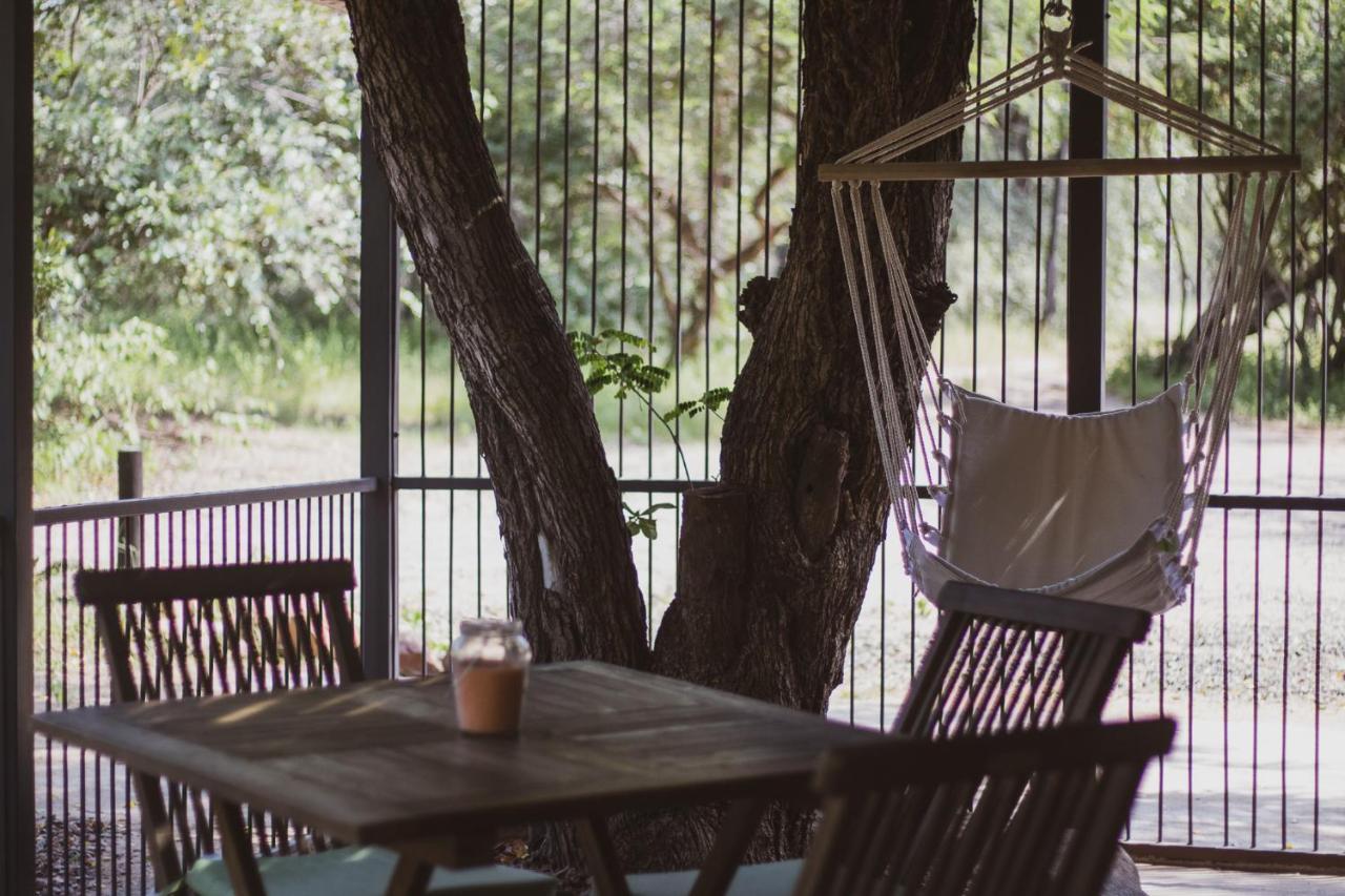 Hello Kruger Hideaway Cottage & Skilpad Studio Marloth Park Exteriör bild