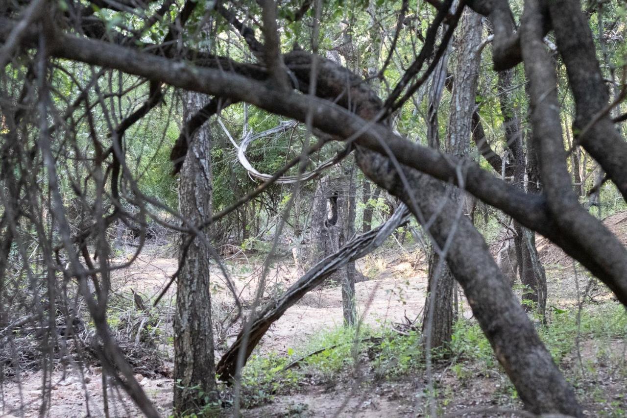 Hello Kruger Hideaway Cottage & Skilpad Studio Marloth Park Exteriör bild