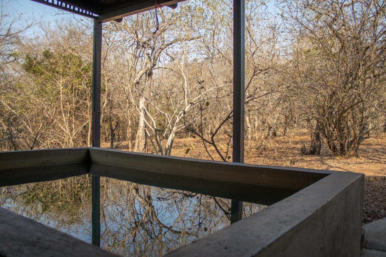 Hello Kruger Hideaway Cottage & Skilpad Studio Marloth Park Exteriör bild