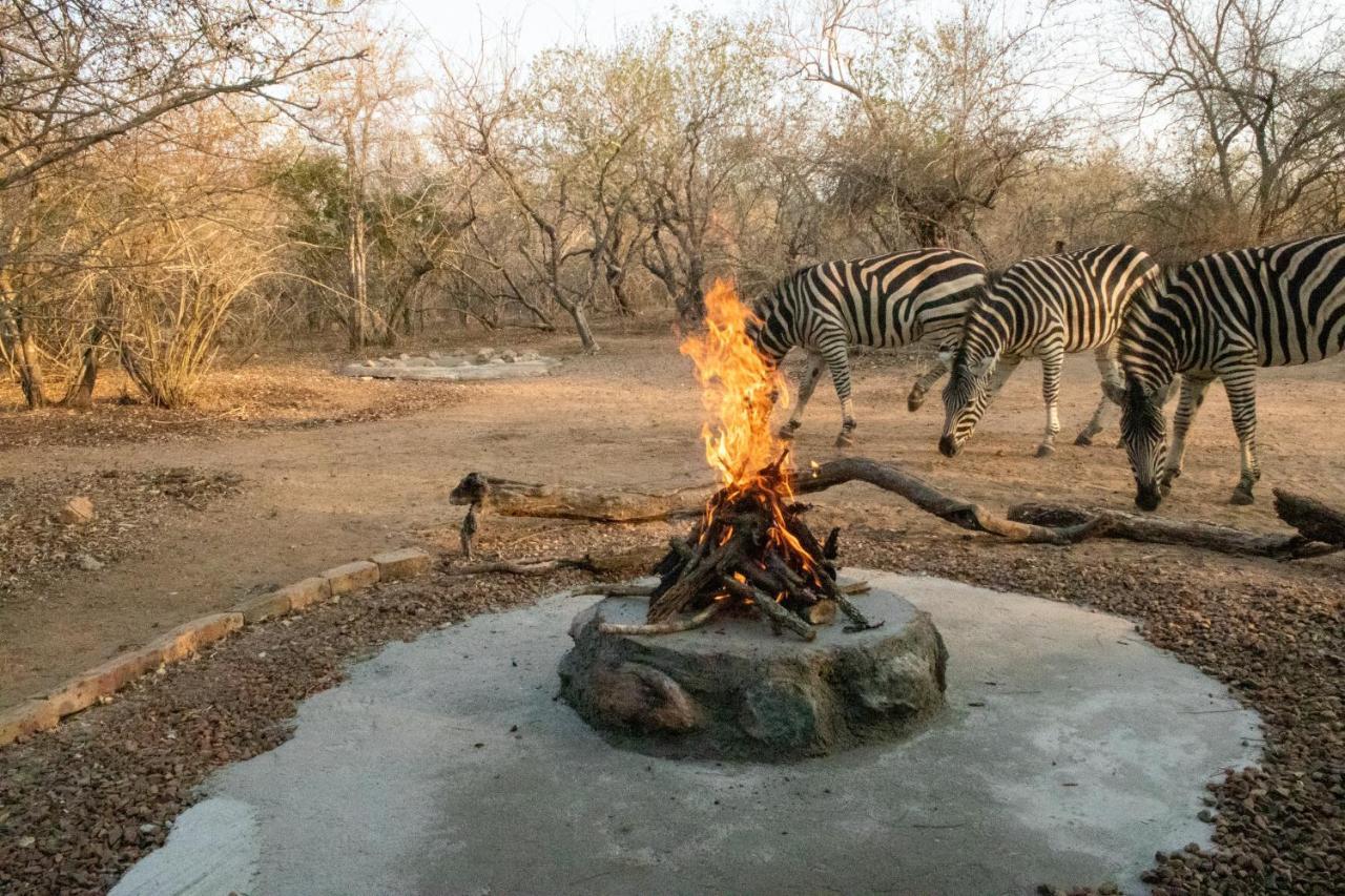 Hello Kruger Hideaway Cottage & Skilpad Studio Marloth Park Exteriör bild