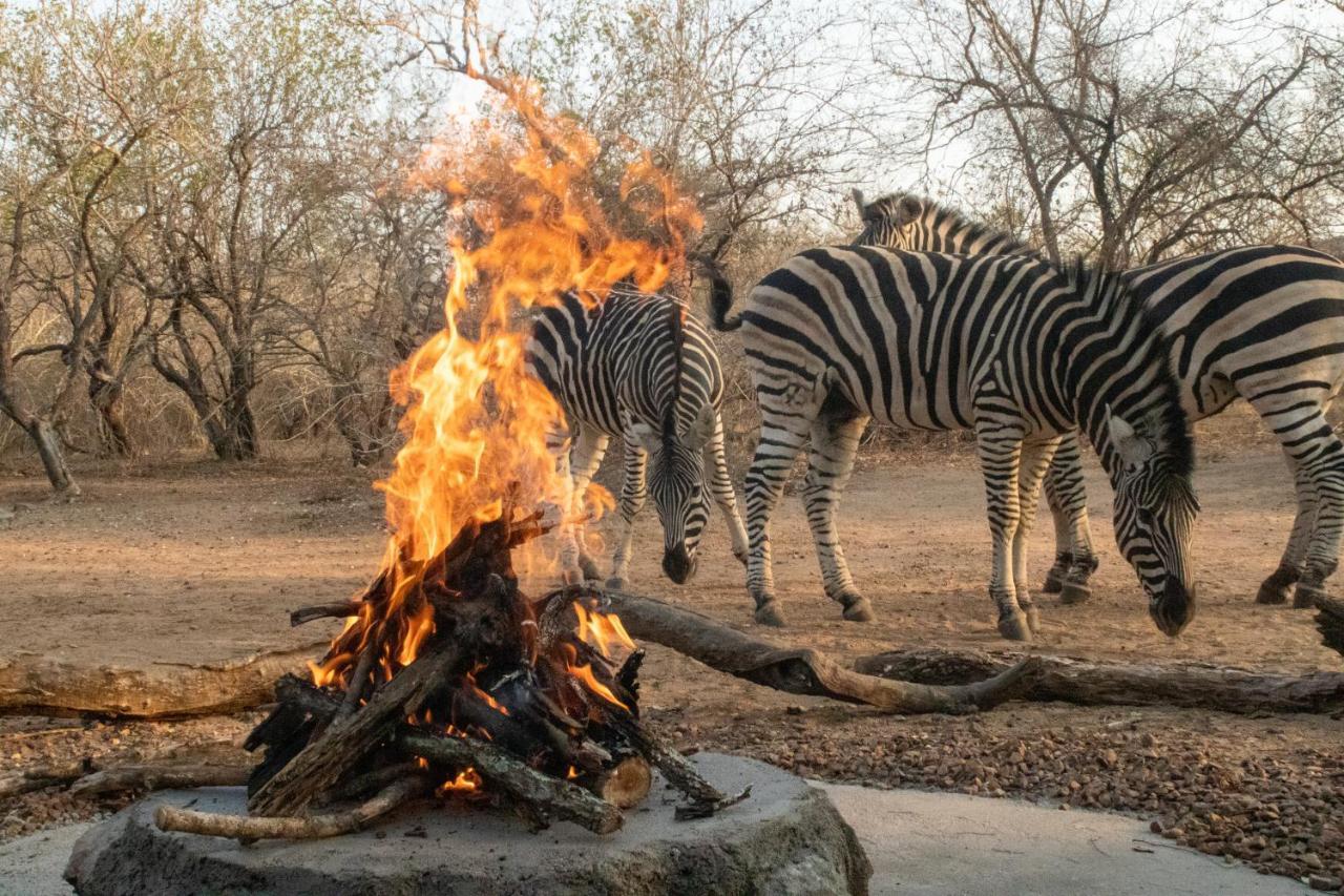 Hello Kruger Hideaway Cottage & Skilpad Studio Marloth Park Exteriör bild